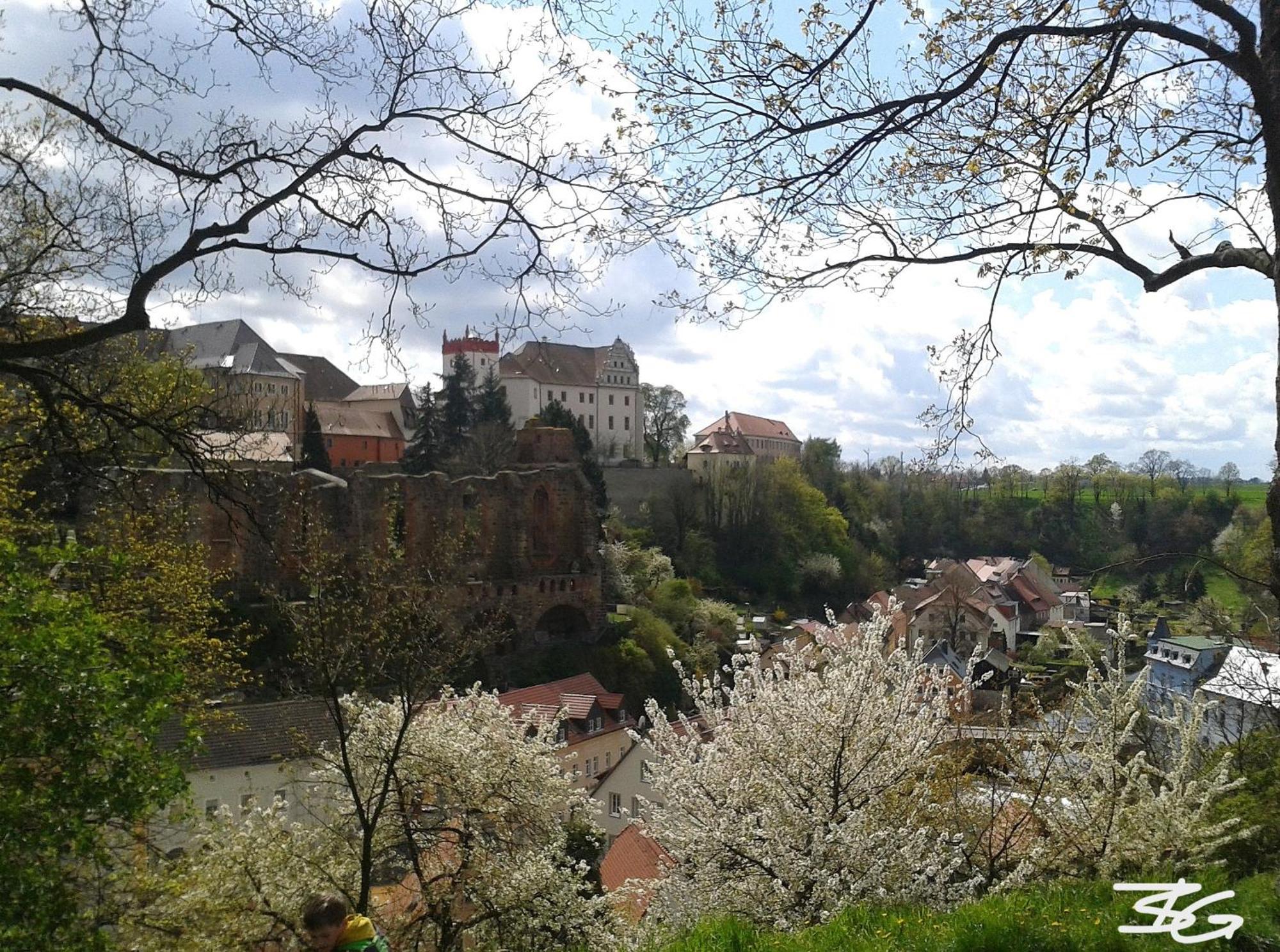 Fewo Geborgenheit Asza Mit Strahlungsfreien Zonen Bautzen Buitenkant foto