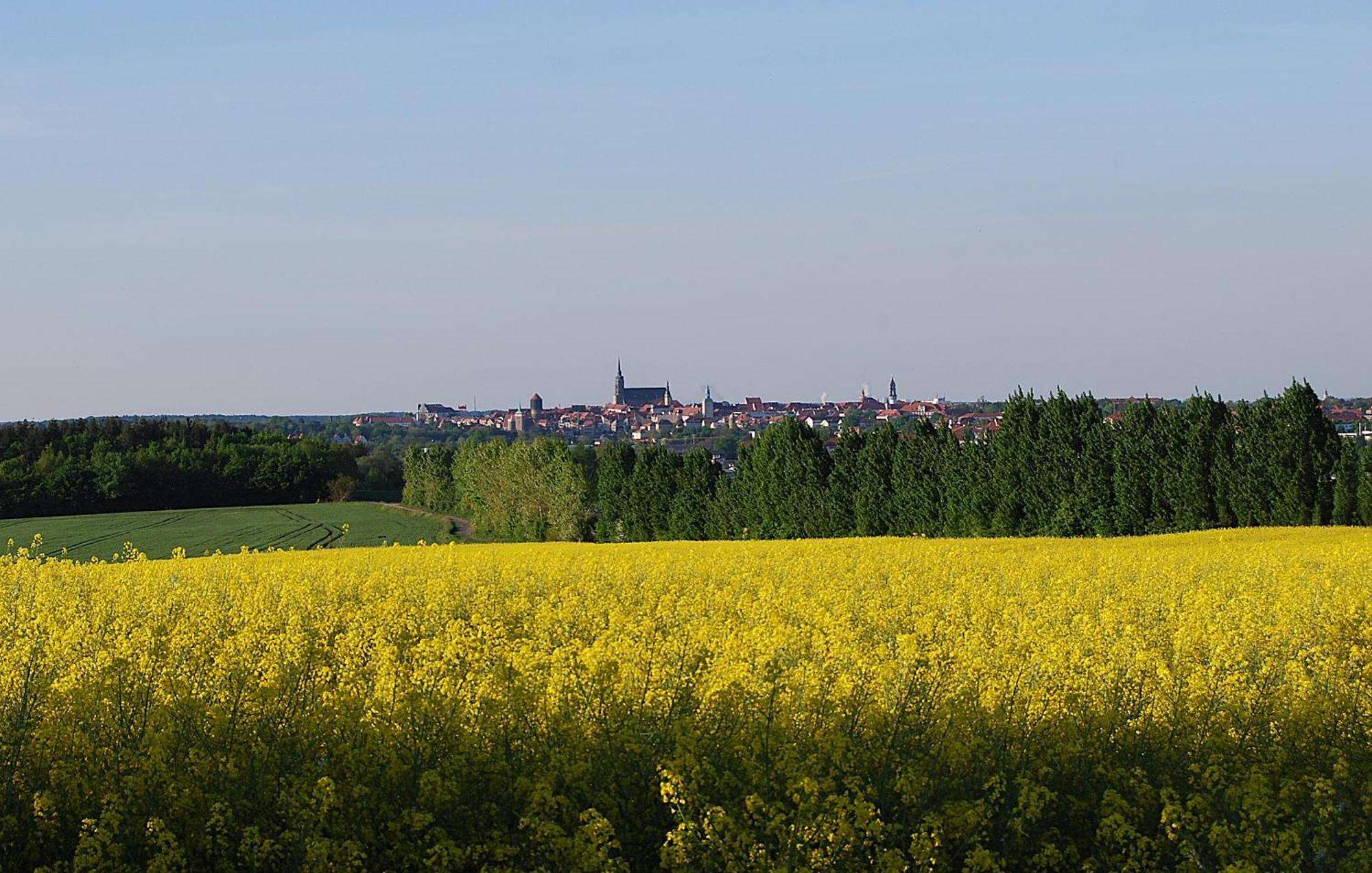 Fewo Geborgenheit Asza Mit Strahlungsfreien Zonen Bautzen Buitenkant foto